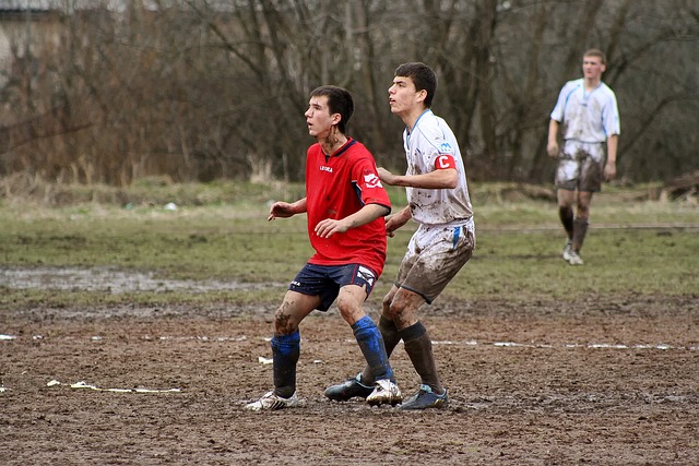 球新篇章 球新篇章