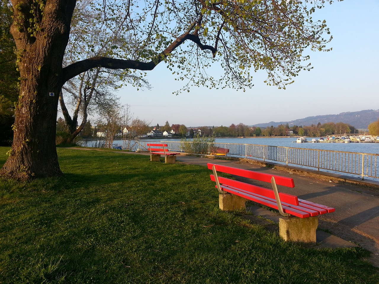 场内场外的 场内场外的