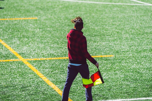 同时也可能 同时也可能