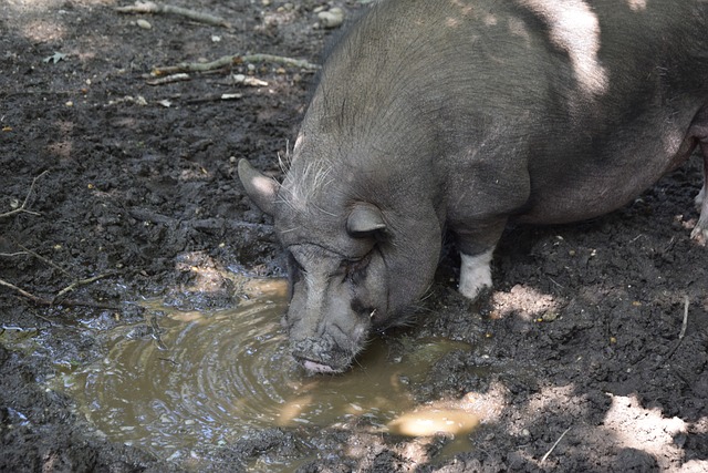 背后是对自 背后是对自